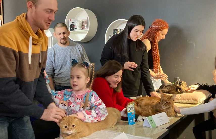 Центральная библиотека им. Л. Толстого