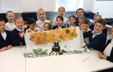 Тайны лесного великана