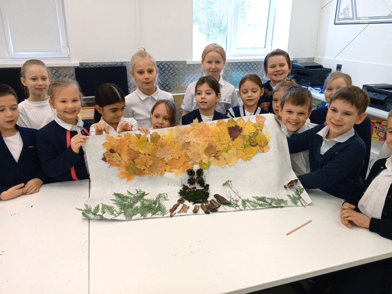 Тайны лесного великана