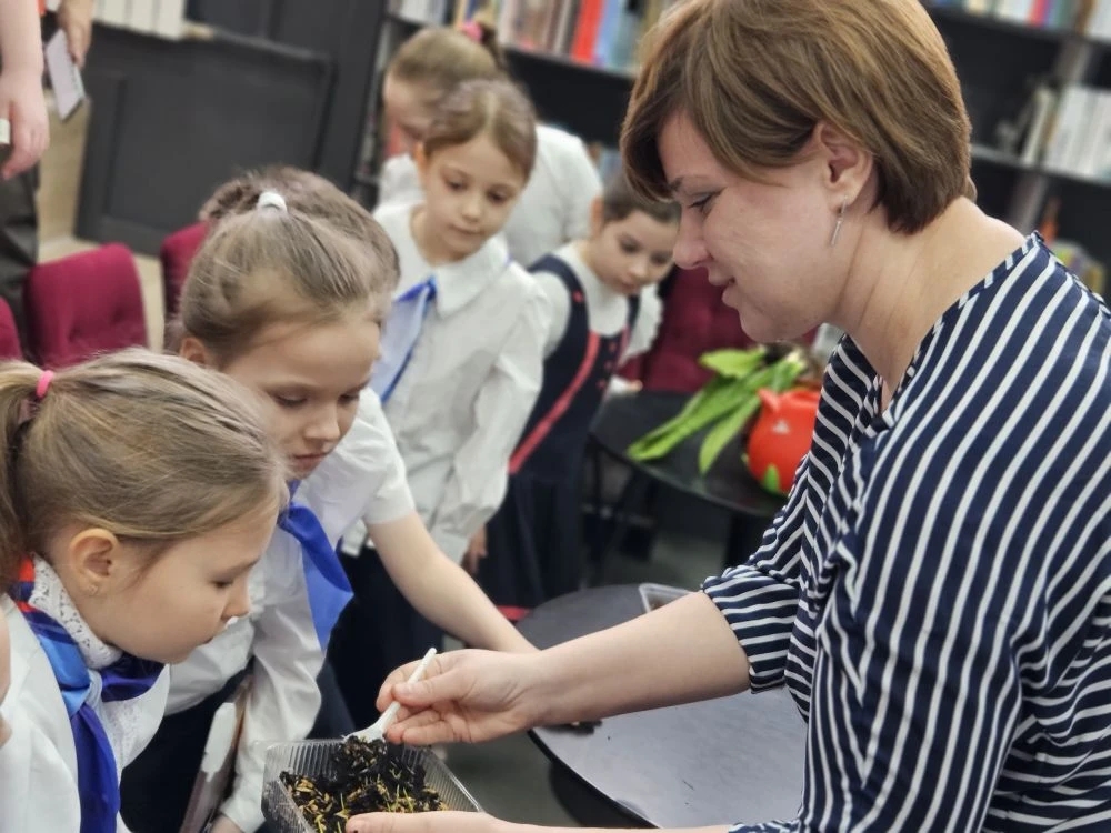 Весенние ручьи землю будят